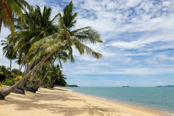 Plongée au cœur de la conciergerie à toulouse : l'art du service sur mesure
